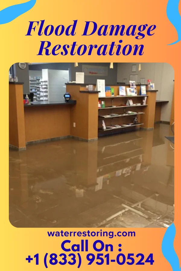 Flood Damage Restoration in Berea, SC