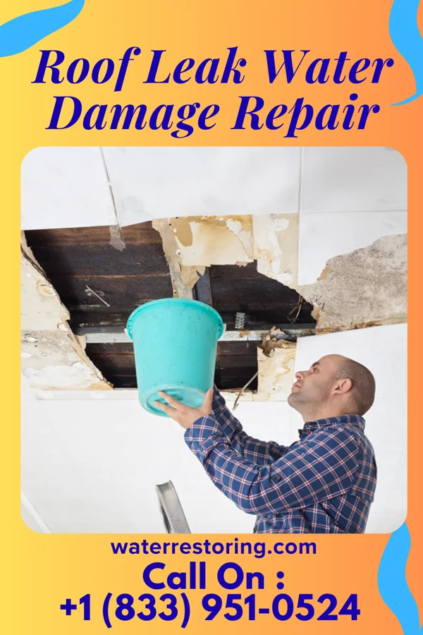 Roof Leak Water Damage Repair in Berea, SC