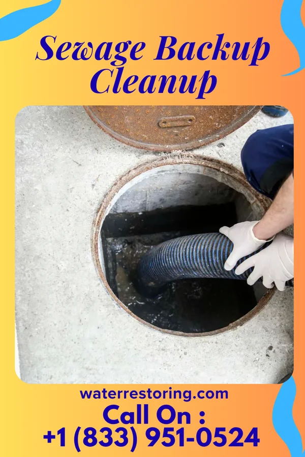 Sewage Backup Cleanup in Berea, SC